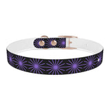 Black and purple star dog collar