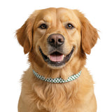 St. Patrick’s Shamrock Clip-On Pet Collar — Green Clover Pattern