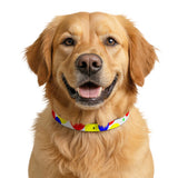 Clip-on Pet Collar — Colorful Primary Dot Pattern for Dogs & Cats