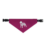 Pet Bandana Collar
