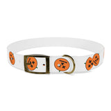 Dog Collar
