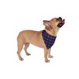 purple and black Pet Bandana