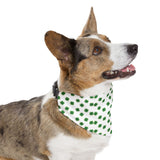 Dog bandanas for st patrick day