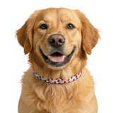 Cherry Print Clip-On Pet Collar — Cute Red Cherry Dog Collar