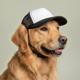 Dog Foam Trucker Hat