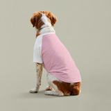 Pet Raglan T-shirt