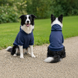 Halloween Ghost Pet Hoodie with Collar Hole — Cute Ghost Trio & Moon