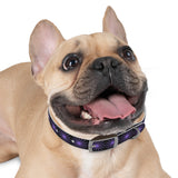 Purple Star Dog Collar — Adjustable Pet Collar with Star Pattern