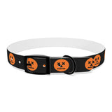 jack-o-lantern print dog collar