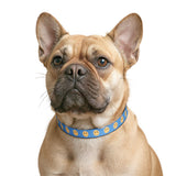 Smile Face Clip-on Pet Collar