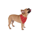 Red Snowflake Christmas Pet Bandana