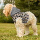 cool dog hoodie