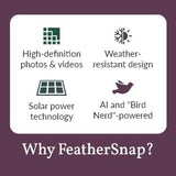 FeatherSnap Smart Bird Feeder: AI Bird ID, Solar Power, Wi-Fi Connectivity, Sends HD Pictures and Videos to Your Phone, Two Seed Bins, Multiple Mounting Options - Best Smart Bird Feeder