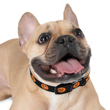 jack-o-lantern print dog collar