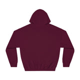 Unisex DryBlend® Hooded Sweatshirt