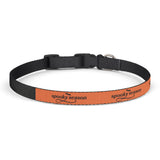 Spooky Season Clip-On Pet Collar — Orange Halloween Dog Collar