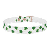 Lucky Clover Dog Collar — St. Patrick’s Day Green Shamrock Pet Collar