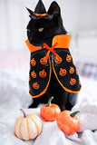 Halloween Cat Costume Cloak Witch Hat Pet Accessories Halloween Adjustable Pumpkin Pet Costume Clothes Set, Halloween Pat Costume Decor Cloak for Cats Dogs Animal Halloween Carnival Party Supplies