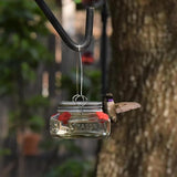 Nature's Way Bird Products MJF1 Nature's Way Mason Jar Hummingbird Dish Feeder, Clear