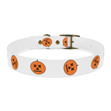 Dog Collar