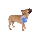 Pet Bandana heart design