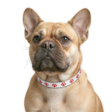 Red Paw Print Clip-On Pet Collar