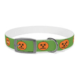 Halloween pumkin collar