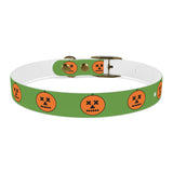 Halloween Dog Collar pumkin design