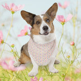 Colorful Paw Print Pet Bandana Collar — Vibrant Dog/Cat Scarf