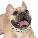 Lucky Clover Dog Collar — St. Patrick’s Day Green Shamrock Pet Collar