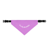 Pet Bandana Collar