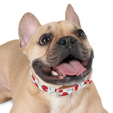 Candy Pattern Dog Collar — Sweet Candy Collar for Dogs
