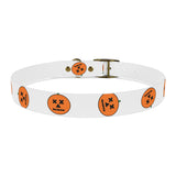 Dog Collar