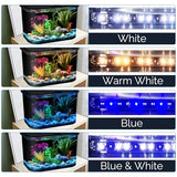Koller Products 5-Gallon Aquarium Kit with LED Lighting and Power Filter, Ideal for a Variety of Tropical Fish