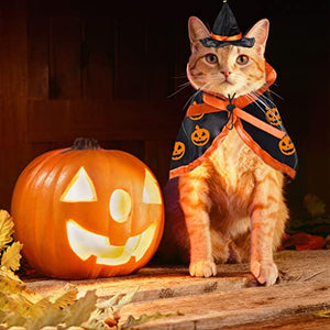 Halloween Cat Costume Cloak Witch Hat Pet Accessories Halloween Adjustable Pumpkin Pet Costume Clothes Set, Halloween Pat Costume Decor Cloak for Cats Dogs Animal Halloween Carnival Party Supplies