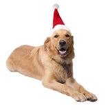 Adjustable 3D Christmas Santa Hat for Dogs Cats (Large)