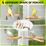 Pecirvoli Natural Solid Wood Bird Perch and Swing - Durable Toys for Parakeets, Parrots & Birds - Safe cage Accessories with High Hardness Texture