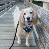 Midnight Hands-Free Rope Leash