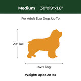 BALANCE Dog Crate Bed, Orthopedic Dog Bed Pad with Waterproof Liner, Washable Crate Foam Pet Mat for Large, Medium, Puppy Dogs Breeds, Mint Leaf, 30"x19"x1.6"