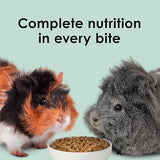 Kaytee Timothy Complete Guinea Pig Food, Made with Timothy Hay, High in Fiber, Supports Dental Health and Digestion, Long-lasting Vitamin C, 9.5 pounds