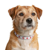 Red Paw Print Clip-On Pet Collar