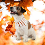 Halloween pumkin pet collar and bandana