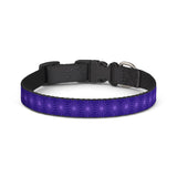 Purple Starburst Clip-On Pet Collar — Adjustable Decorative Dog Collar