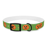 Halloween pumkin collar