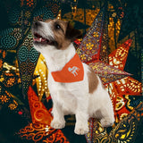 Pet Bandana Collar