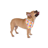 Easter Egg Pet Bandana