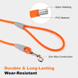 5FT Nylon Waterproof Dog Leash, Durable Strong Odor-Proof Dog Leashes with Zinc Alloy Clip, Walking, Beach, Yard, Swimming, Training Leash for Small, Medium & Large Dogs Blue