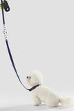 The LICKER Store WLK1004J-5SET Luna Small 8FT Adjustable 6-in-1 Waterproof Hands-Free Leash and Collar with LED Flashlight, Bag Dispenser, and Poop Bag Holder, Highball