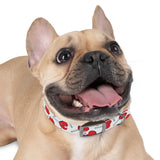 Candy Pattern Dog Collar — Sweet Candy Collar for Dogs