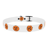 Dog Collar